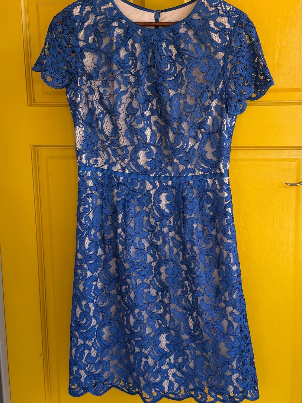 Adrianna Papell Blue Floral Lace‎ Fit & Flare Lined Zip Round Neck Size small